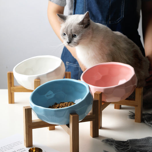 Pet Food Water Bowl With Stand